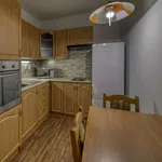 Rent 1 bedroom apartment of 37 m² in Poděbrady