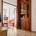 Rent 3 bedroom apartment of 130 m² in milan