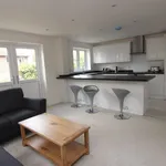 Rent 1 bedroom house of 411 m² in Reading