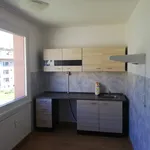 Rent 4 bedroom apartment of 90 m² in Capital City of Prague