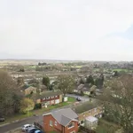 Rent 1 bedroom apartment in Dacorum