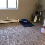 Rent 1 bedroom apartment in Rapid City