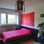 Rent 2 bedroom apartment of 72 m² in München