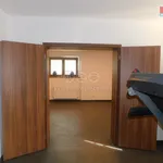 Rent 3 bedroom apartment of 60 m² in Roudnice nad Labem