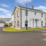 Rent 4 bedroom house in Newtownards