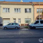 Rent 1 bedroom apartment of 29 m² in Brno