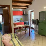 Rent 2 bedroom apartment of 40 m² in Ancona