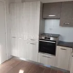 Rent 5 bedroom apartment of 140 m² in Bologna