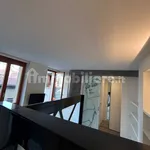 Rent 1 bedroom apartment of 35 m² in Milan