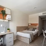 Alquilo 1 dormitorio apartamento de 21 m² en Pamplona