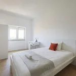 Rent a room in lisbon