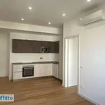 Rent 2 bedroom apartment of 60 m² in Rome