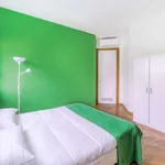 Rent a room in florence