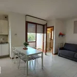 Rent 2 bedroom apartment of 40 m² in Rome