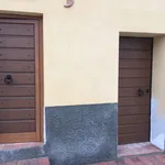 Rent 1 bedroom apartment of 30 m² in Pisa