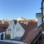 Pronajměte si 3 ložnic/e byt o rozloze 126 m² v Prague