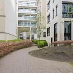 Rent 1 bedroom apartment in Brussel