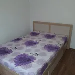 Rent 2 bedroom apartment in Craiova