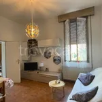 Rent 5 bedroom house of 190 m² in Bologna