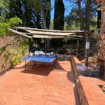 Rent 10 bedroom house of 200 m² in Monte Argentario