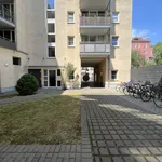 Rent 1 bedroom apartment of 35 m² in Berlin