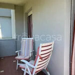 Rent 5 bedroom apartment of 80 m² in Riccione