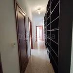 Rent 2 bedroom apartment of 85 m² in Taranto