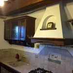 Rent 4 bedroom house of 120 m² in Siena