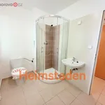 Rent 1 bedroom apartment of 29 m² in Havířov