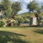 Rent 5 bedroom house of 280 m² in Orbetello