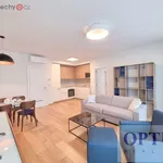 Rent 2 bedroom apartment of 71 m² in Praha