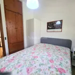 Rent 2 bedroom apartment of 35 m² in Roma