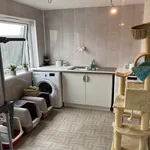 Rent 4 bedroom house in Scotland