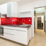 Rent 1 bedroom apartment of 26 m² in Prague