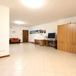 Rent 1 bedroom apartment of 75 m² in Montecchio Maggiore