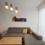 Rent 1 bedroom apartment of 60 m² in Dresden