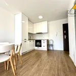 Rent 2 bedroom apartment of 35 m² in Leszno