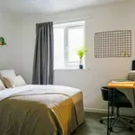 Rent 1 bedroom apartment in Lincoln