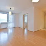 Rent 3 bedroom apartment in Brno