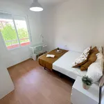 Rent 4 bedroom apartment in Valencia