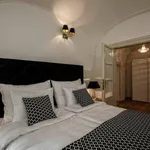 Rent 2 bedroom apartment of 130 m² in Prague