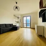 Rent 1 bedroom apartment of 60 m² in Milano