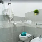 Rent 2 bedroom apartment of 55 m² in Bologna