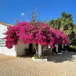 Rent 1 bedroom house of 80 m² in Tavira