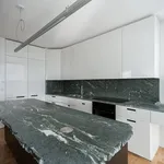 Pronajměte si 4 ložnic/e byt o rozloze 234 m² v Prague