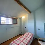 Rent 2 bedroom apartment of 50 m² in Milan