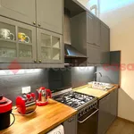 Rent 4 bedroom apartment of 95 m² in Florence