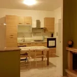 Rent 2 bedroom apartment of 75 m² in Roma