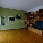 Rent 3 bedroom apartment of 120 m² in Segrate