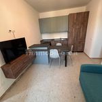 Rent 1 bedroom apartment of 64 m² in Modena